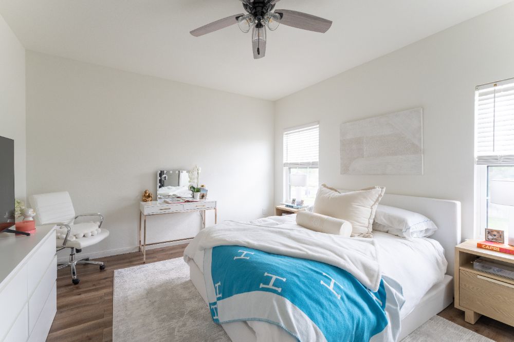 living room with Modern window style