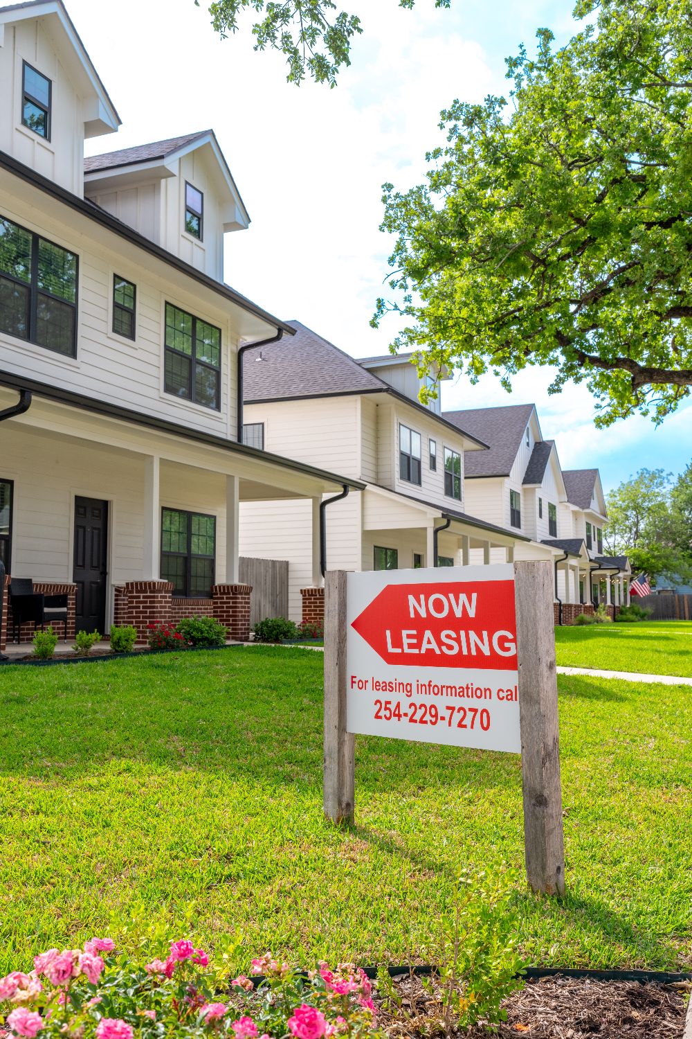 Bright kitchen modern student living